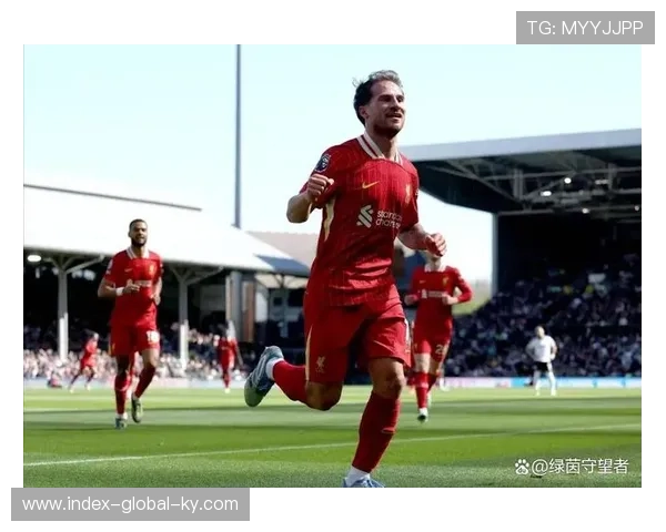 阿根廷中场保护后防能力 恩佐麦卡利斯特分担压力